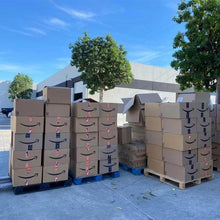 Load image into Gallery viewer, 🎉🎉Last Chance to Order-💥Amazon Surprise Box! Give your family and friends a mysterious surprise!