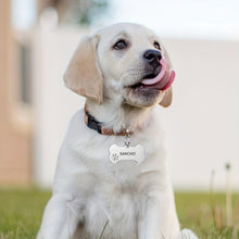 Load image into Gallery viewer, Custom Engraved Dog Bone ID Tag with Phone Number - Personalized Name Tag for Small and Medium Puppies - Durable and Stylish Pet Accessory