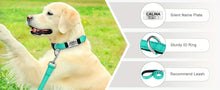 Load image into Gallery viewer, Personalized Reflective Neoprene Dog Collar Keep Your Pet Safe and Comfortable at Night
