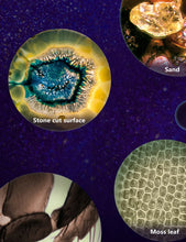 गैलरी व्यूवर में इमेज लोड करें, The Original Miniscope