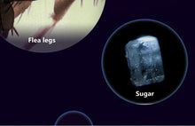 गैलरी व्यूवर में इमेज लोड करें, The Original Miniscope