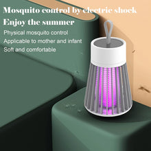 Load image into Gallery viewer, Portable Bug Zapper for Indoors Outdoor Fly Zapper Mosquito Trap