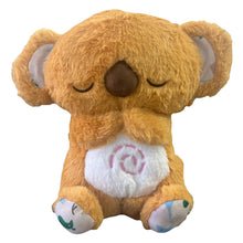 Load image into Gallery viewer, 49432904958234