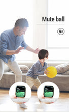 Load image into Gallery viewer, THE HANDLESHH SILENT BASKETBALL