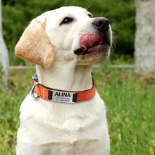 Load image into Gallery viewer, Personalized Reflective Neoprene Dog Collar Keep Your Pet Safe and Comfortable at Night