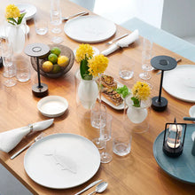 गैलरी व्यूवर में इमेज लोड करें, मेटैलिक कॉर्डलेस टेबल लैंप - मंदनीय और रिचार्जेबल वाटरप्रूफ डेस्क लाइट