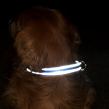 Load image into Gallery viewer, Personalized Reflective Neoprene Dog Collar Keep Your Pet Safe and Comfortable at Night
