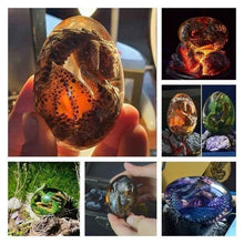 Load image into Gallery viewer, Lava Dragon Egg
